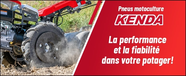 K359
